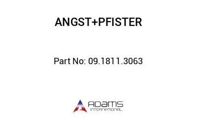 09.1811.3063