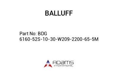 BDG 6160-52S-10-30-W209-2200-65-5M									