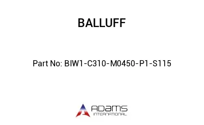 BIW1-C310-M0450-P1-S115									