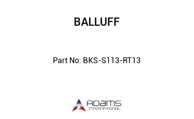 BKS-S113-RT13									