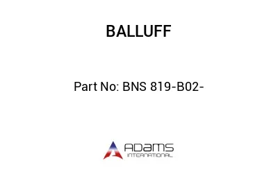 BNS 819-B02-
