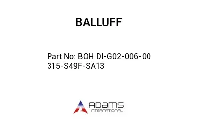 BOH DI-G02-006-00	315-S49F-SA13								
