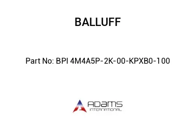 BPI 4M4A5P-2K-00-KPXB0-100									