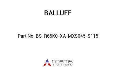 BSI R65K0-XA-MXS045-S115									