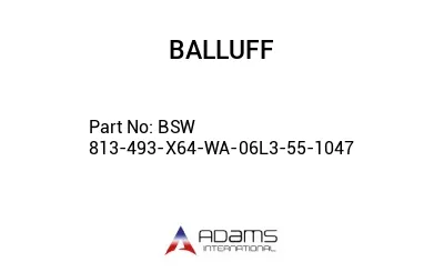 BSW 813-493-X64-WA-06L3-55-1047									