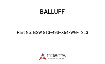 BSW 813-493-X64-WG-12L3									