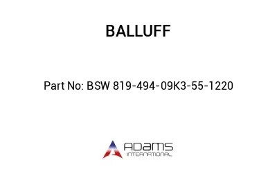BSW 819-494-09K3-55-1220									